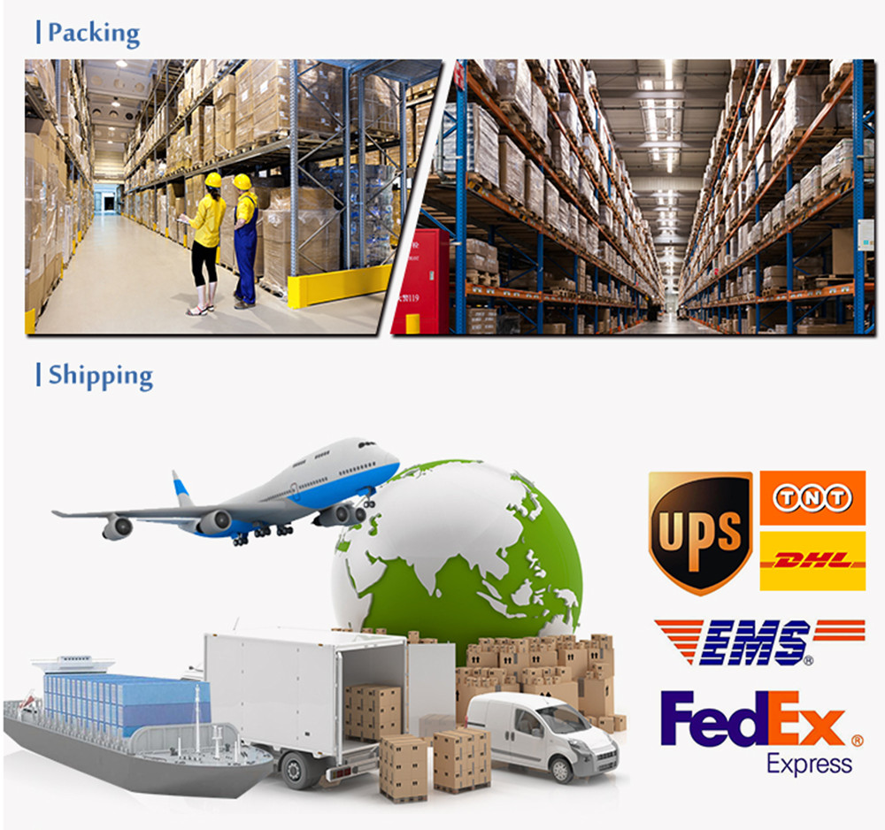 Logo A4 A5 Pocket Small Thermal Handheld Photo Mini Portable Wireless Label Pos Printer